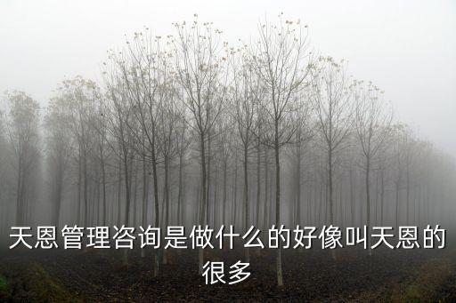 天恩管理咨詢是做什么的好像叫天恩的很多