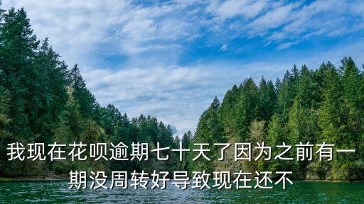 我現(xiàn)在花唄逾期七十天了因?yàn)橹坝幸黄跊](méi)周轉(zhuǎn)好導(dǎo)致現(xiàn)在還不