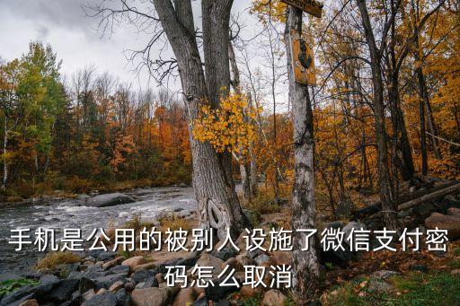 手機(jī)是公用的被別人設(shè)施了微信支付密碼怎么取消