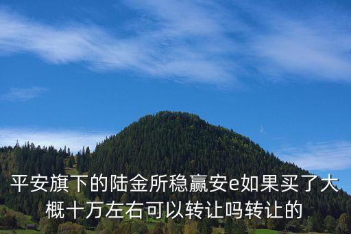 平安旗下的陸金所穩(wěn)贏安e如果買了大概十萬左右可以轉(zhuǎn)讓嗎轉(zhuǎn)讓的