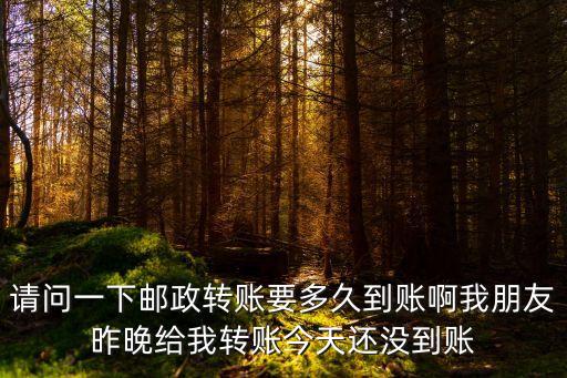 請(qǐng)問一下郵政轉(zhuǎn)賬要多久到賬啊我朋友昨晚給我轉(zhuǎn)賬今天還沒到賬