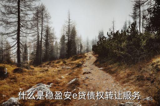 穩(wěn)贏安e 怎么轉(zhuǎn)讓，平安旗下的陸金所穩(wěn)贏安e如果買了大概十萬左右可以轉(zhuǎn)讓嗎轉(zhuǎn)讓的