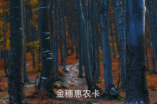 金穗惠農(nóng)卡