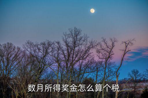 數(shù)月所得獎(jiǎng)金怎么算個(gè)稅
