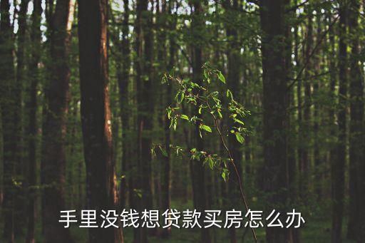 房子按揭沒錢怎么辦理，沒錢首付房子怎么辦