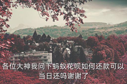螞蟻花唄怎么當(dāng)天還款，使用螞蟻花唄怎么立即還款