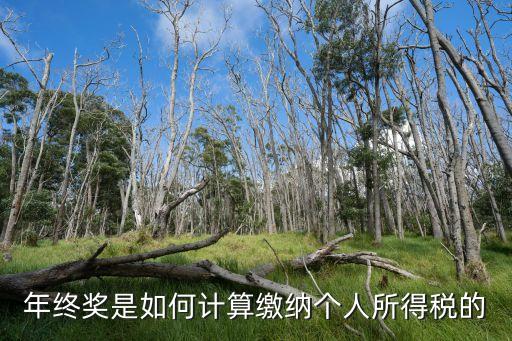 獎(jiǎng)金怎么扣個(gè)人所得稅，獎(jiǎng)金如何繳納個(gè)人所得稅