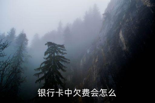 銀行卡中欠費(fèi)會(huì)怎么