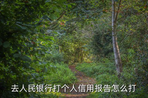 征信記錄怎么打，征信報(bào)告怎么打