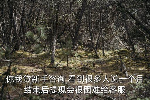 你我貸APP怎么提現(xiàn)，你我貸的會員有什么好處嗎你我貸安全嗎