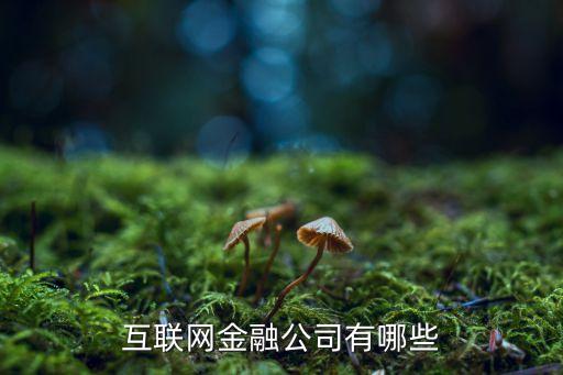 互聯(lián)網(wǎng)金融公司有哪些
