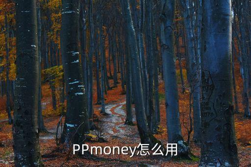 PPmoney怎么用
