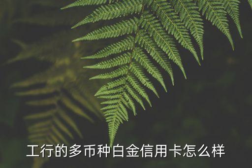 工商銀行白金卡怎么樣，工銀JCB旅行白金卡怎么樣