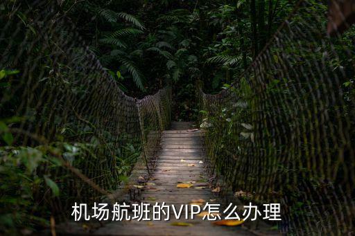 機場航班的VIP怎么辦理