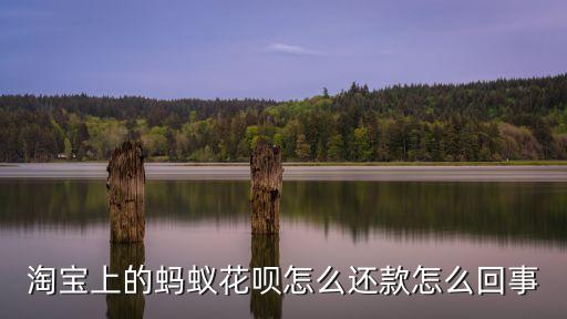 淘寶中的螞蟻花怎么還，淘寶上的螞蟻花唄是怎樣的一種還款模式