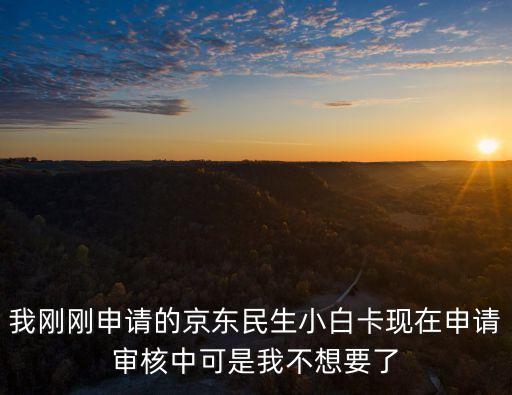 我剛剛申請(qǐng)的京東民生小白卡現(xiàn)在申請(qǐng)審核中可是我不想要了