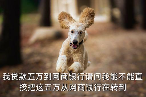 網商銀行借貸怎么提現，我要怎么才可以把錢從網商銀行里面提出來