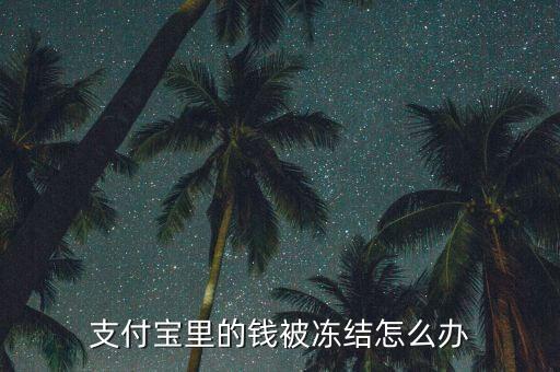 支付寶里的錢被凍結(jié)怎么辦
