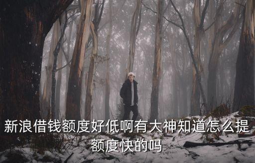 新浪微博借錢怎么提額，新浪有借的額度怎么提高的