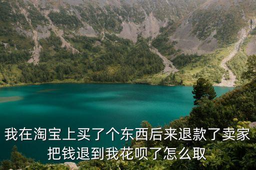我在淘寶上買了個(gè)東西后來退款了賣家把錢退到我花唄了怎么取