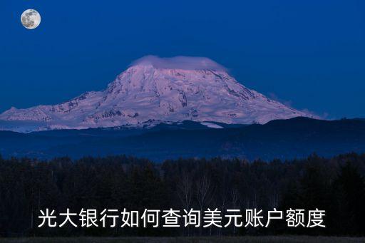 光大銀行如何查詢美元賬戶額度
