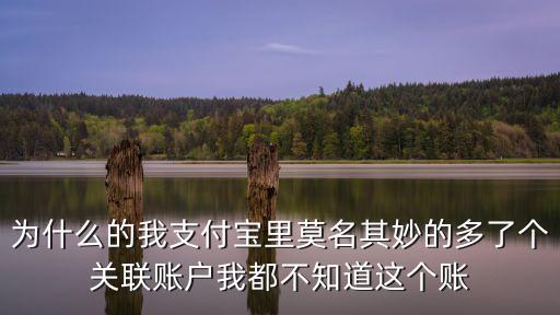 關(guān)聯(lián)卡號(hào)怎么來(lái)的，為什么的我支付寶里莫名其妙的多了個(gè)關(guān)聯(lián)賬戶(hù)我都不知道這個(gè)賬