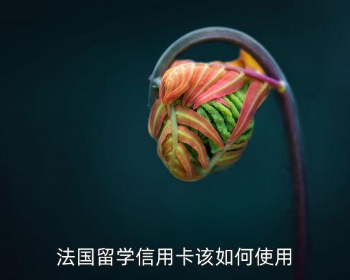 法國留學(xué)信用卡該如何使用
