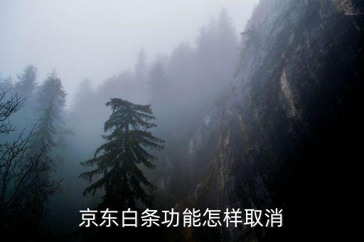 金東白條怎么關(guān)閉，京東白條功能怎樣取消