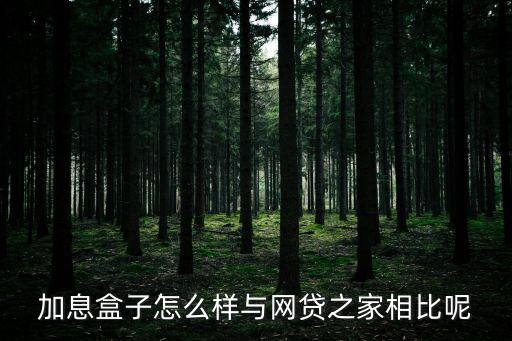 加息盒子怎么樣與網(wǎng)貸之家相比呢