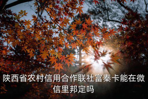 信合富秦卡怎么用，陜西省農(nóng)村信用合作聯(lián)社富秦卡能在微信里邦定嗎