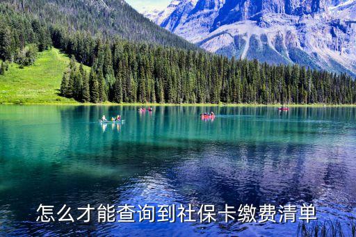 社保打印繳費(fèi)記錄怎么查，怎么才能查詢到社保卡繳費(fèi)清單