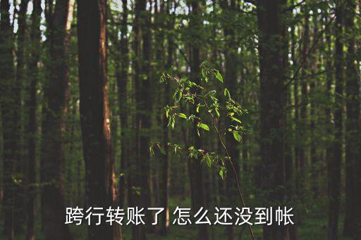 跨行轉(zhuǎn)帳不到帳怎么辦，跨行轉(zhuǎn)賬收不到錢怎么辦