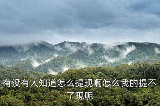 旺財貓怎么提現(xiàn)，有沒有人知道怎么提現(xiàn)啊怎么我的提不了現(xiàn)呢