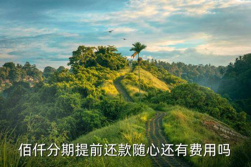 佰仟分期提前還款隨心還有費(fèi)用嗎