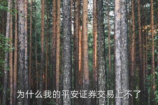 平安證券怎么交易不了，我剛開通兩天平安證券就是不能交易是怎么一回事