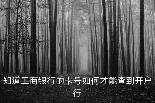 工行開戶行怎么查詢，如何查詢工商銀行賬戶的開戶行