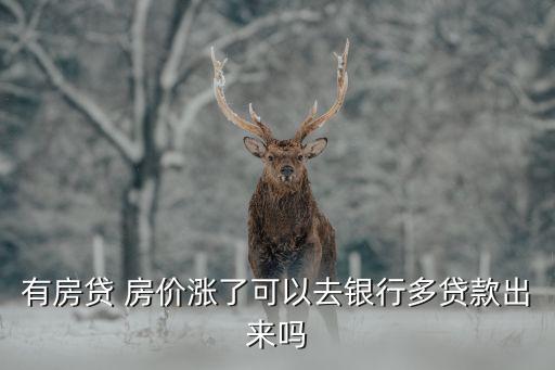 房價漲了怎么能多貸款，按歇房房子漲價了貸款額度能否追加或貸一些出來