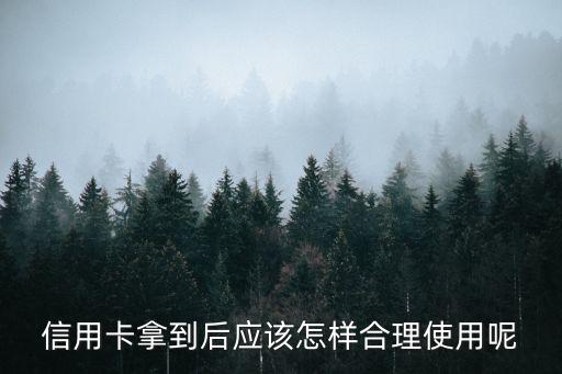 信用卡拿到后應(yīng)該怎樣合理使用呢