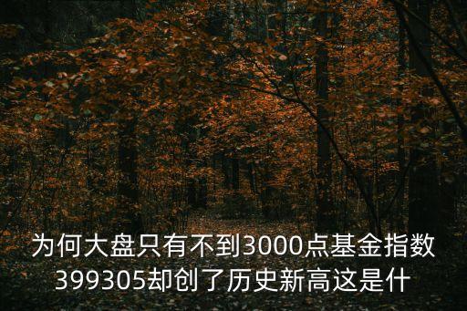 為何大盤只有不到3000點基金指數(shù)399305卻創(chuàng)了歷史新高這是什