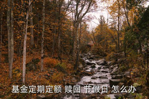 贖回日節(jié)假日怎么辦，基金定期定額 贖回 節(jié)假日 怎么辦