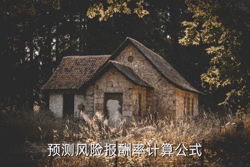 預(yù)測風(fēng)險報酬率計算公式