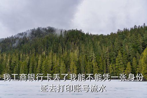 工行卡掉了怎么打流水，我工商銀行卡丟了我能不能憑一張身份證去打印賬號(hào)流水