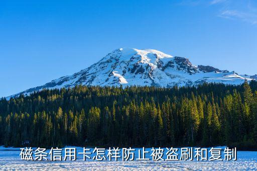 磁條信用卡怎樣防止被盜刷和復(fù)制