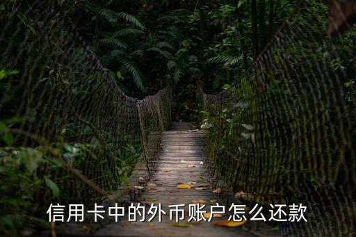 信用卡中的外幣賬戶怎么還款