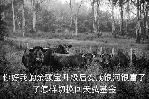 你好我的余額寶升級后變成銀河銀富了了怎樣切換回天弘基金
