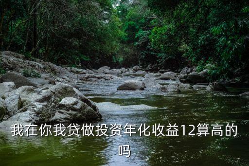 我在你我貸做投資年化收益12算高的嗎