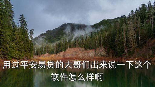 用過平安易貸的大哥們出來說一下這個軟件怎么樣啊