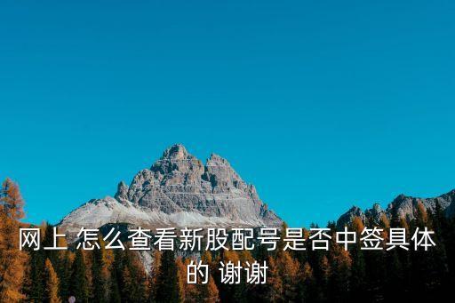 網(wǎng)上 怎么查看新股配號(hào)是否中簽具體的 謝謝