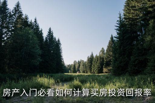 房產(chǎn)入門必看如何計算買房投資回報率