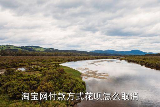 淘寶賣家花唄怎么關(guān)閉，淘寶怎么設(shè)置不使用螞蟻花唄付款